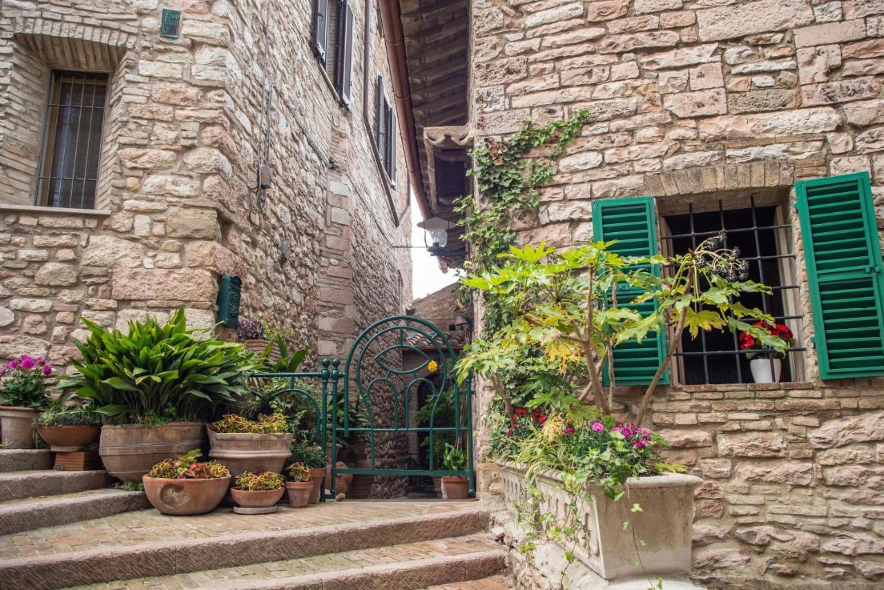 La Viola Di Assisi Hotel Bagian luar foto