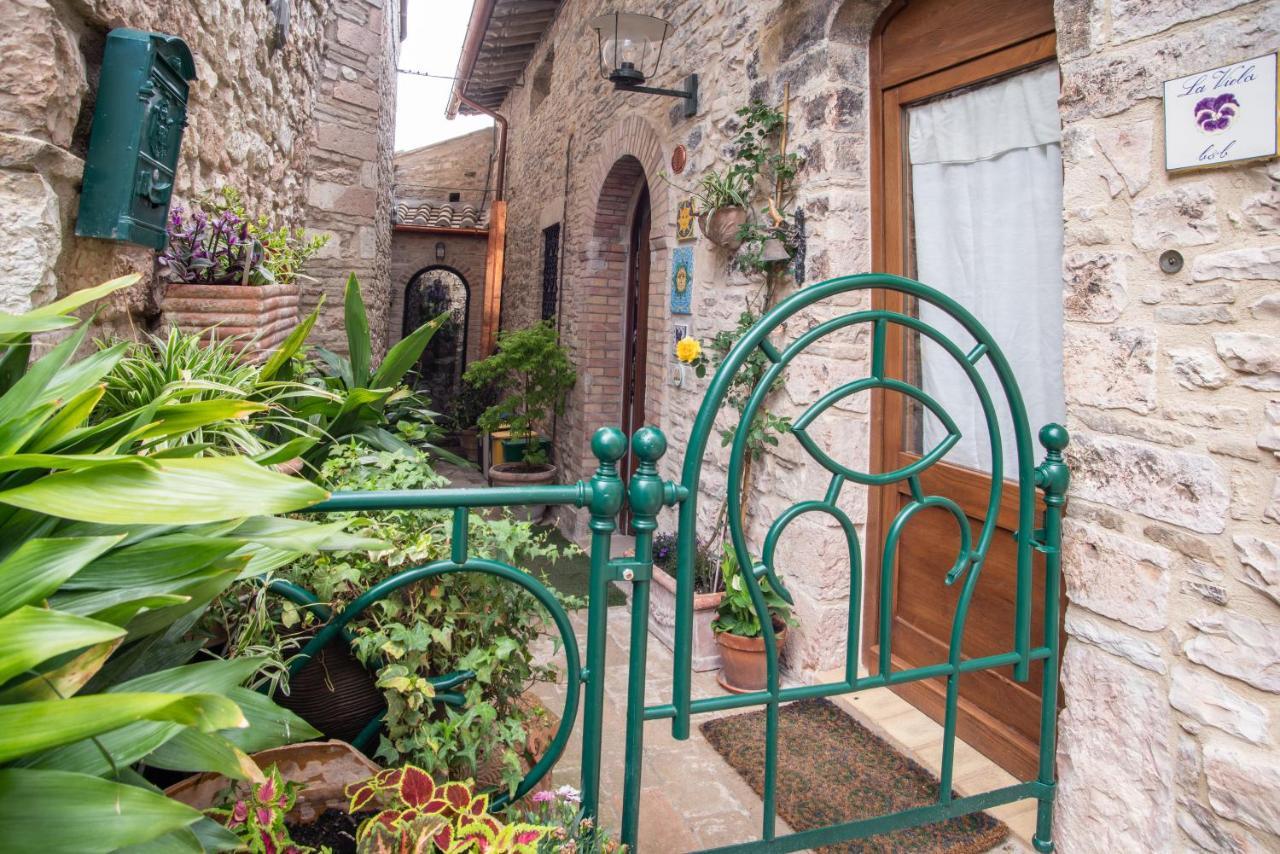 La Viola Di Assisi Hotel Bagian luar foto