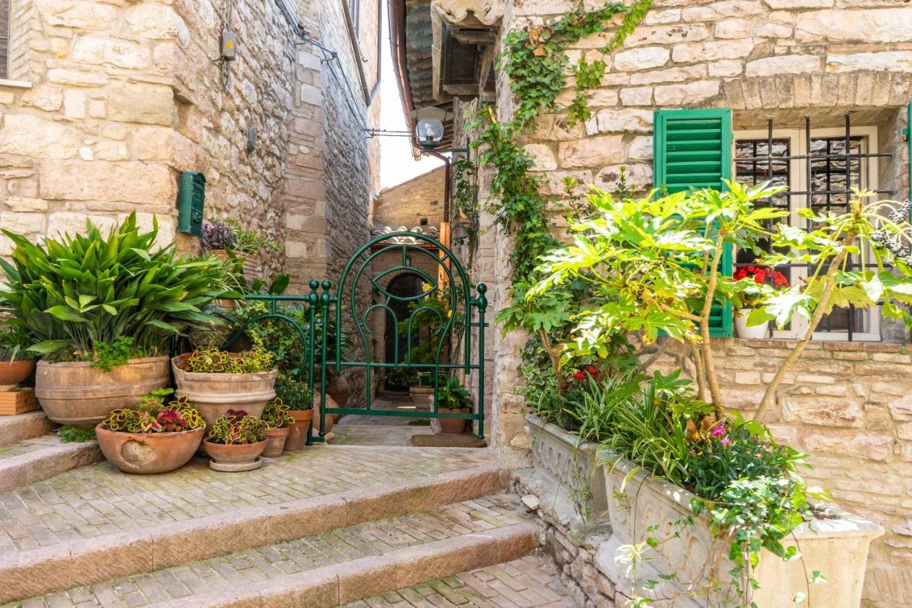 La Viola Di Assisi Hotel Bagian luar foto