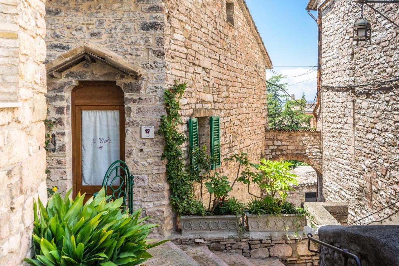 La Viola Di Assisi Hotel Bagian luar foto