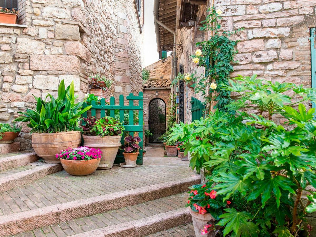 La Viola Di Assisi Hotel Bagian luar foto